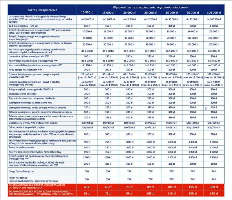 Interrisk – co warto wiedzieć o ubezpieczeniu szkolnym i jego zakresach ochrony?