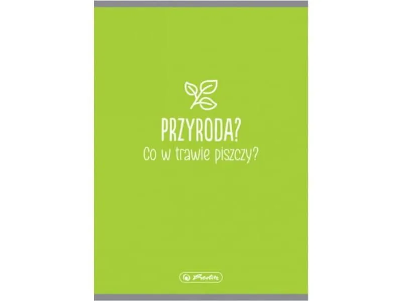 Cechy idealnego zeszytu szkolnego