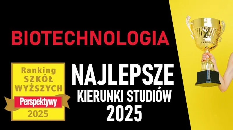 Kompetencje miękkie nauczyciela