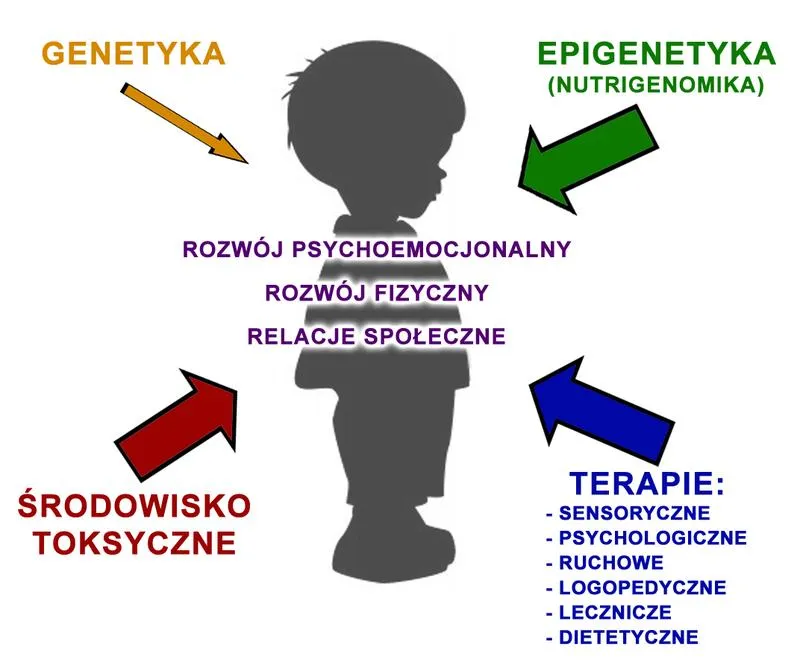 Zajęcia dla dzieci z autyzmem