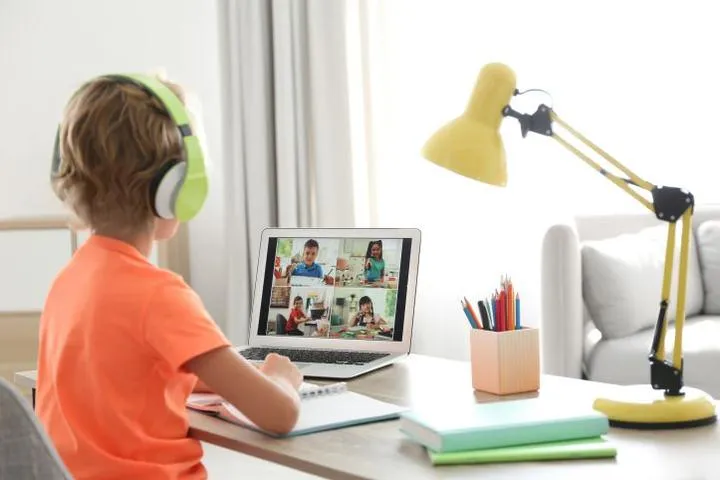 Zdalne nauczanie indywidualne